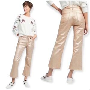 Anthropologie Pilcro and the Letterpress Metallic Flare Pants